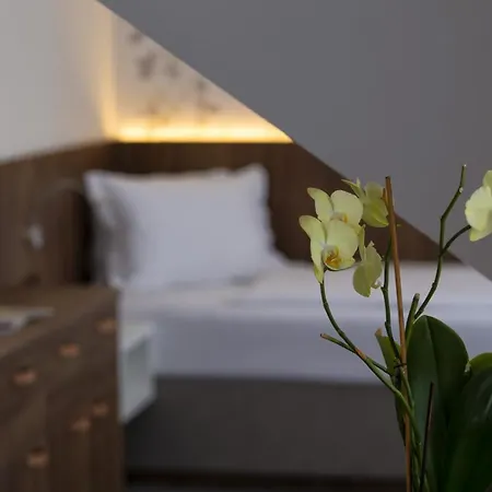 Prichovice Hotel 3*