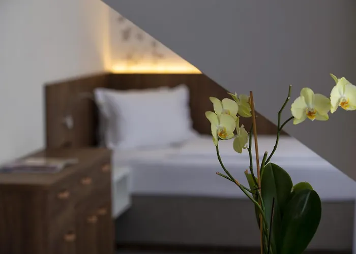 Prichovice Hotel 3*